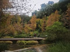 -云溪植物园