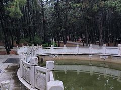 -林海公园