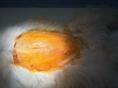 -美迦爱-牙专科·兔科·骨科诊疗中心(北苑店)