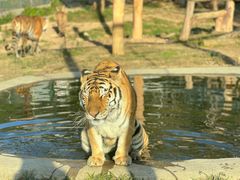 -泉州海丝野生动物世界