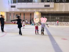 -冰纷万象滑冰场(二七万象城店)