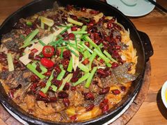 -老板恋上鱼(振华商厦店)