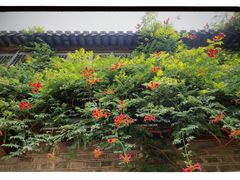 -老门东历史文化街区