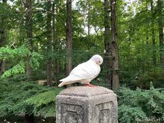 -音乐台