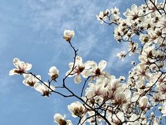-上海来福士广场