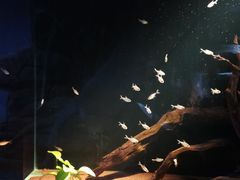 -无锡海洋馆