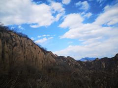 -大岭沟猕猴桃谷风景区