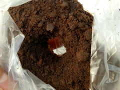 -面包新语(上地华联店)