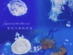 -泉城欧乐堡海洋极地世界