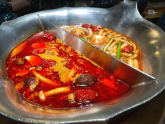 双拼鸳鸯锅-湊湊火锅·茶憩(上海合生汇店)