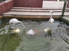 -七宝老街-闵行市民文化广场