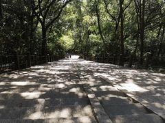 -上海佘山国家森林公园东门地面停车场