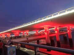 -演武大桥观景平台