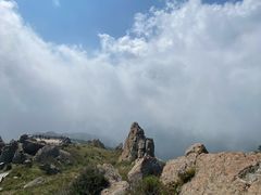 -白草畔自然风景区