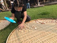 -田园东方蜜桃村的田野营地