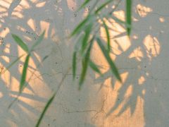 -杭州黄龙洞
