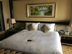-上海浦东星河湾酒店