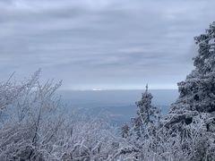 -武陵山森林公园