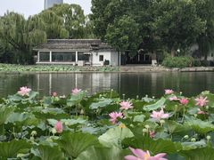 -济南大明湖景区