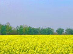 -汉长安城未央宫国家考古遗址公园