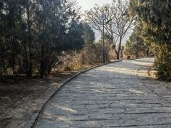 -南翠屏公园