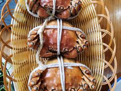 -蟹天蟹地农家菜·阳澄湖大闸蟹(浅水湾店)