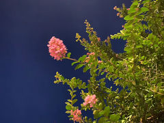 -钱江新城灯光秀