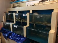 水产区-胶东海鲜大排档(北太平庄店)