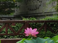 -莲湖公园