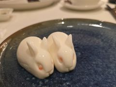 椰汁玉兔糕-侨美·唐荔园·40年地道粤菜