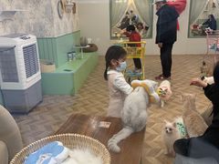 -怪兽屋·羊驼·猫咖·狗咖(俊华广场店)