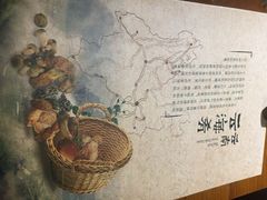云海肴·云南菜-云海肴·汽锅鸡·云南菜(天津国金汇店)