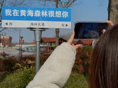 -黄海国家森林公园