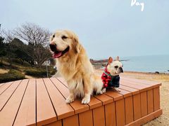 -青岛第三海水浴场