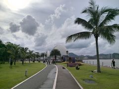 -野狸岛