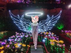 -横店影视城梦幻谷园区