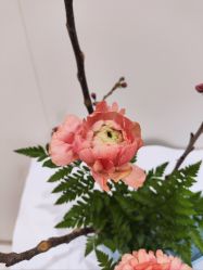 -今日陶艺(富力广场店)