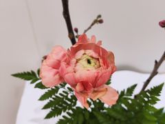 -今日陶艺(富力广场店)