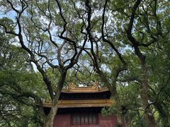 -普陀山风景名胜区-法雨禅寺