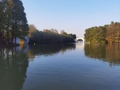 -上海海湾国家森林公园