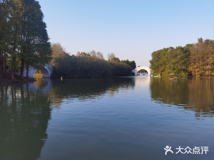 上海海湾国家森林公园图片