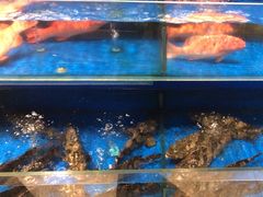 -新海渔港·胶东海鲜家常菜·家宴(奥体中心店)