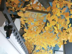 -食悦江南·淮扬菜·烤鸭(亚运村·惠新店)