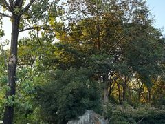 -新荣记(西溪湿地店)