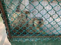 -广东茂名森林公园