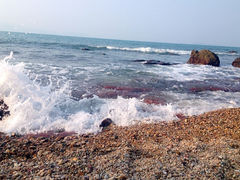 iphone_upload_pic-鹿嘴山庄