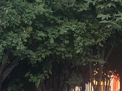-木塔寺遗址生态公园