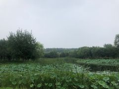 -东郊湿地公园