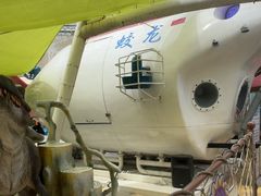 -海合安武汉极地海洋公园