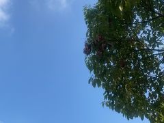 -simply thai天泰(长泰广场店)